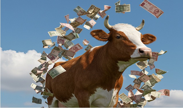 UP boosts dairy subsidy dairynews7x7