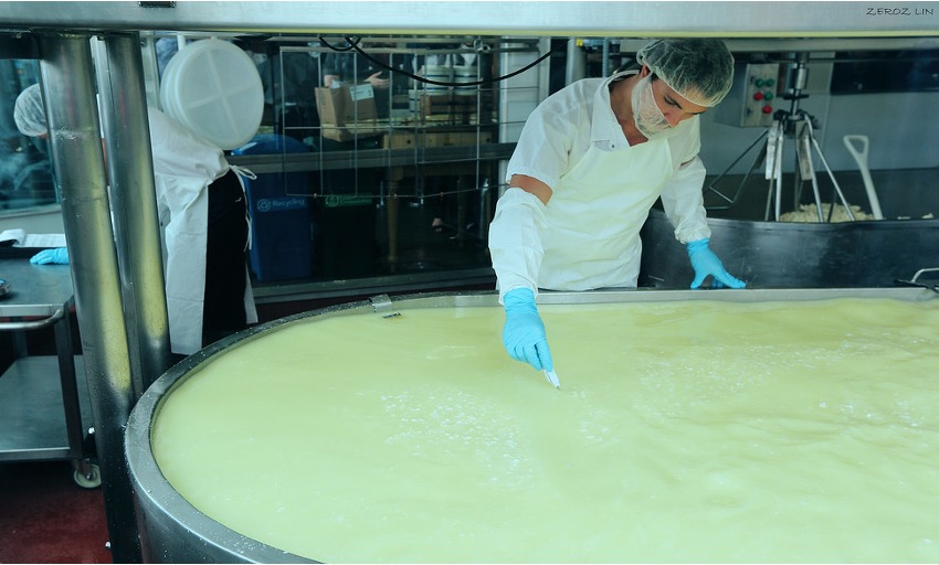 australia eyes whey curb dairy waste dairynews7x7