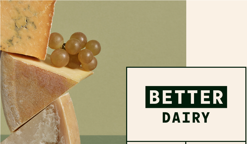 better dairy precision fermentation dairynews7x7