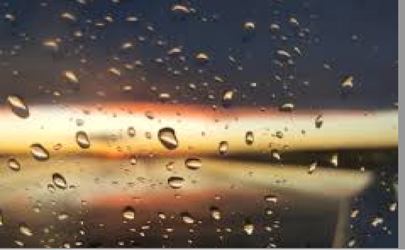 cooler summer dampens dairy sales dairynews7x7