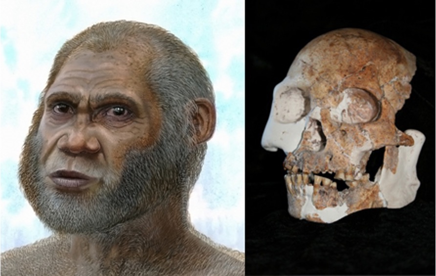 east asian evolved milk tolerance pre cattle rearing dairynews7x7