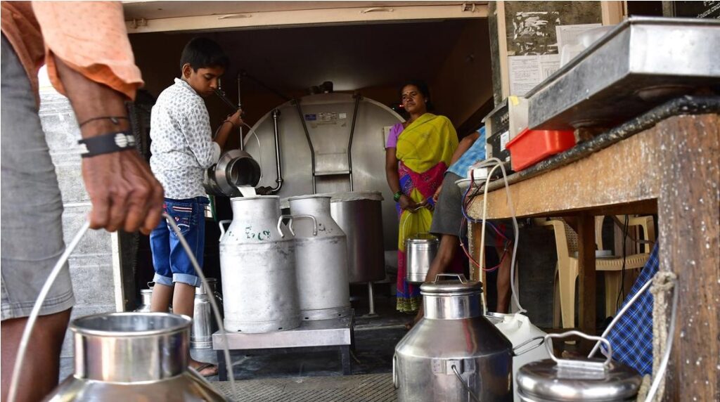 farmer no profit kmf milk price hike dairynews7x7