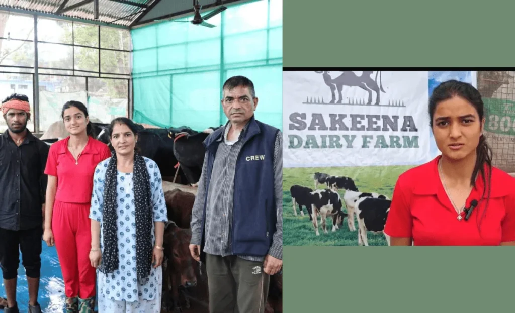 himachal woman earns lakhs in dairy at Mandi dairynews7x7