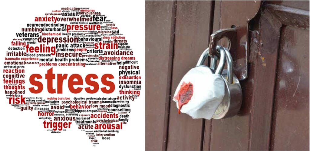 DAIRY ENTREPRENEUR SUICIDE DAIRYNEWS7X7