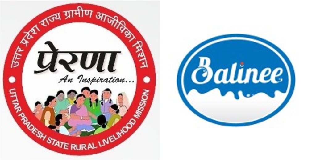 UP milk procurement increase UPSRLM dairynews7x7