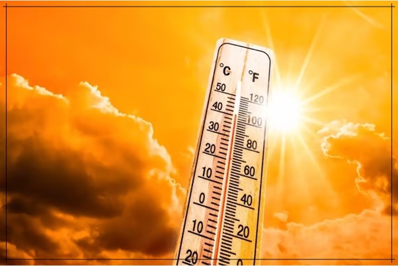 heatwave increase milk price indore dairynews7x7