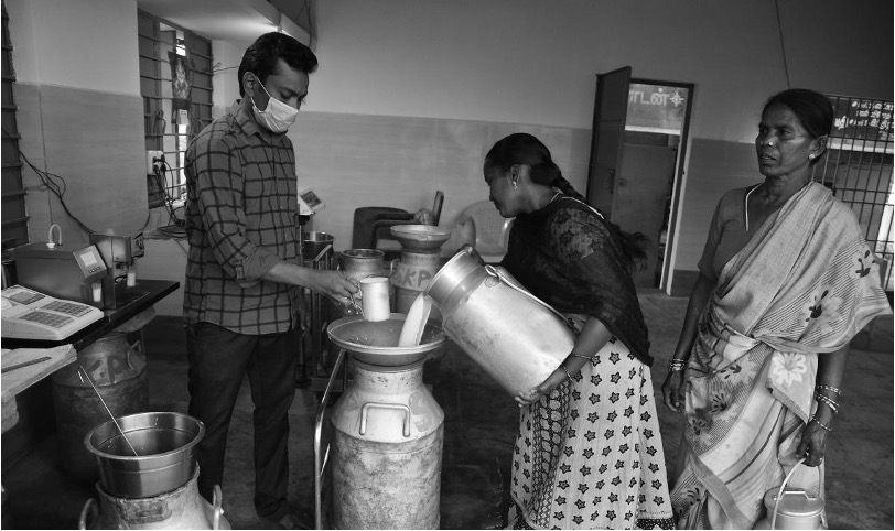 tamil nadu white wave dairynews7x7