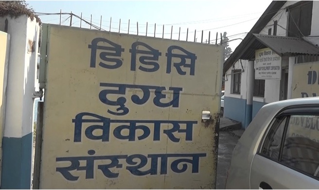 DDC nepal fails to sell dairy stocks dairynews7x7