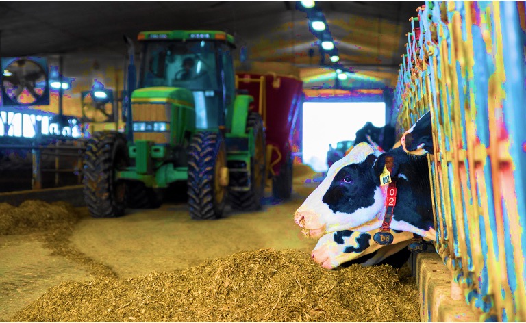 canada newzealand trade solved dairynews7x7