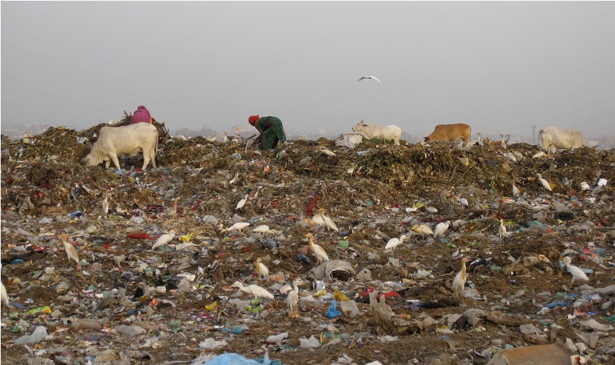 ngt flags contaminated milk ghazipur landfills dairynews7x7