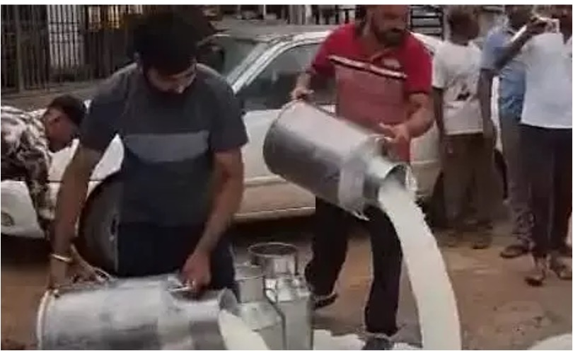 sabar dairy farmer protest dairynews7x7