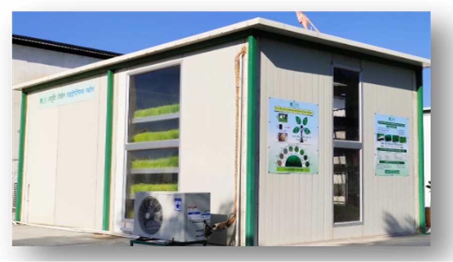 Hydroponics technology blog dairynews7x7