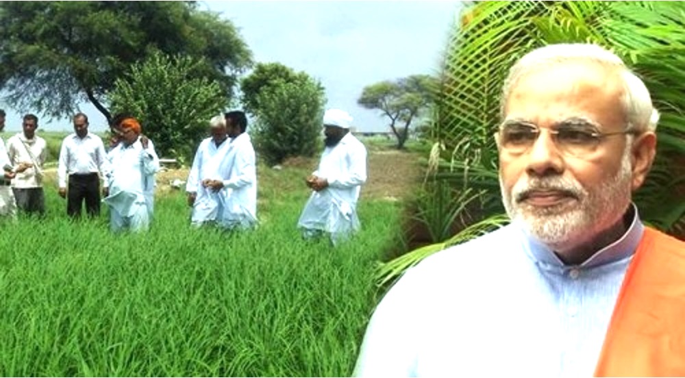 India protect farmers interest dairynews7x7