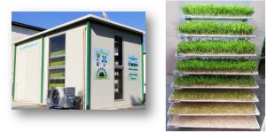 hydroponics 3 image dairynews7x7