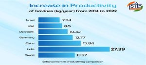 Dairy productivity rises daIRYNEWS7X7