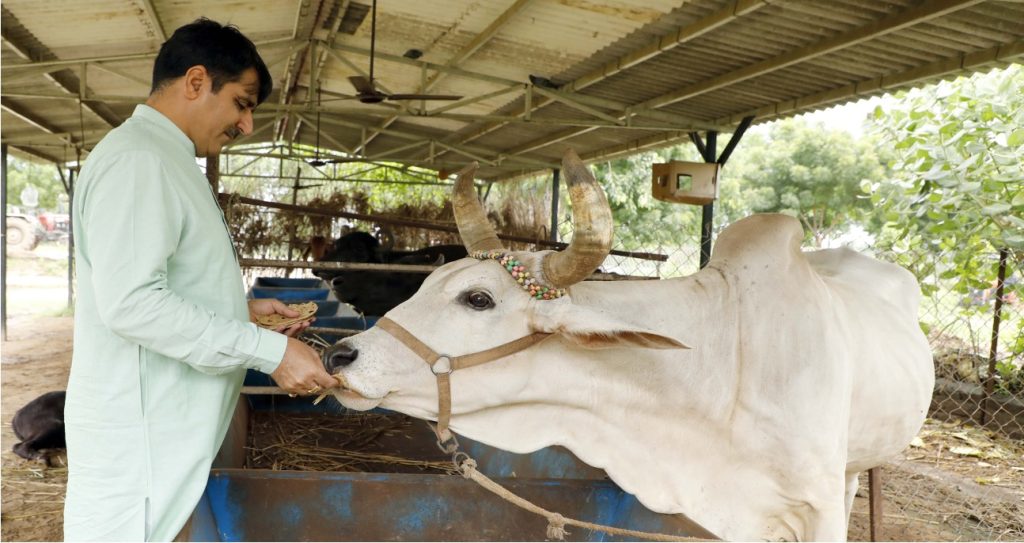 banas climate action dairynews7x7