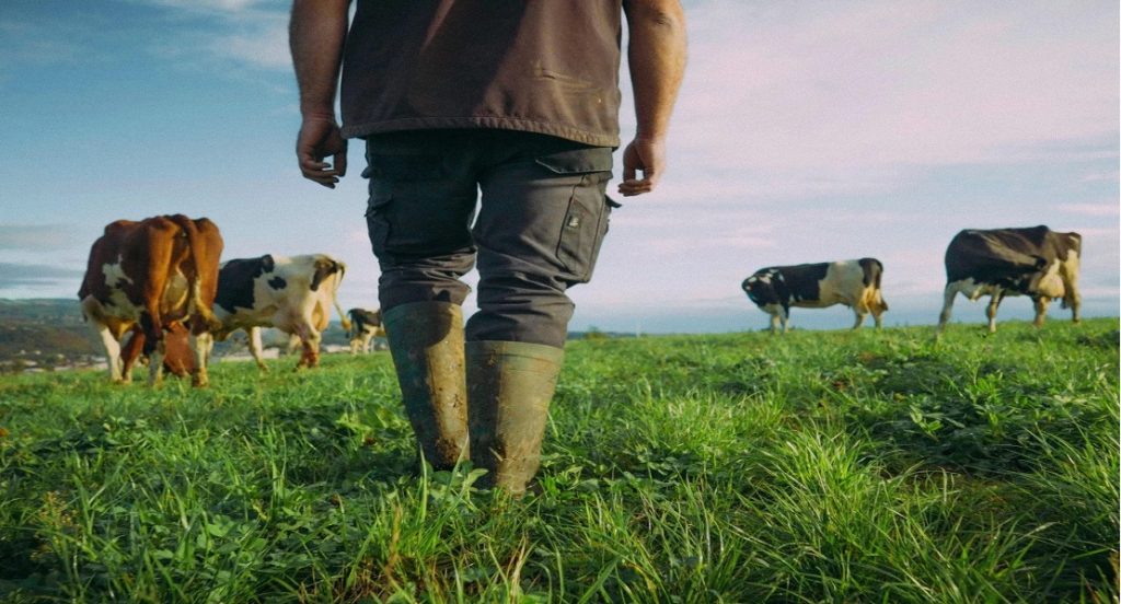 danone battles methane in africa dairynews7x7