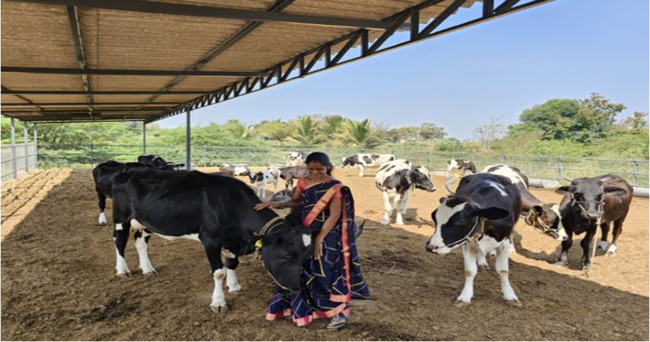 project ksheersagar Abbot dairynews7x7