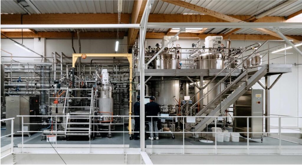 Bel group precision fermentation dairynews7x7