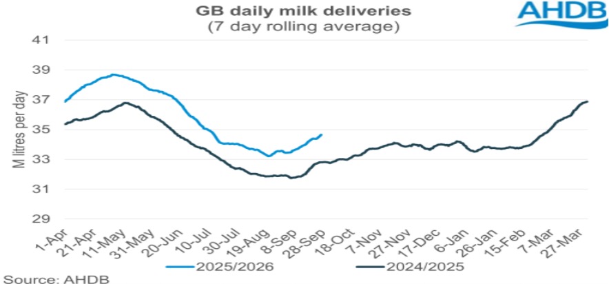 Milk production surge in UK dairynews7x7