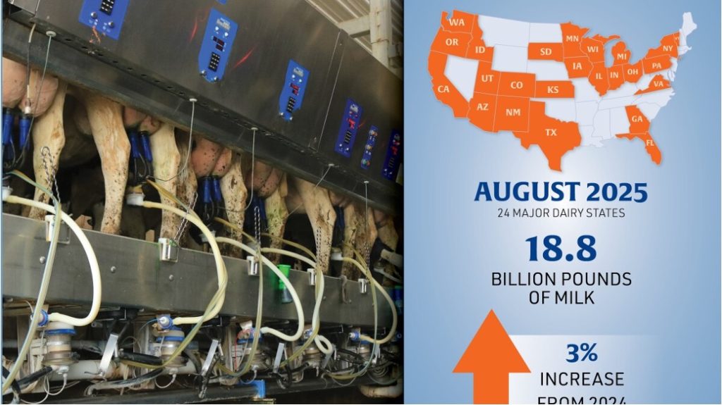 america dairy boom dairynews7x7