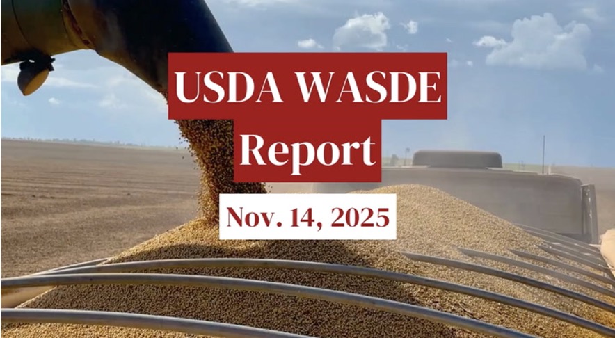 USDA WASDE Nov report dairynews7x7