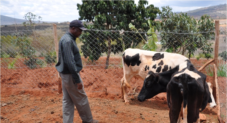 dairy imports africa dairynews7x7