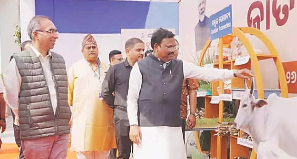 milk subsidy odisha dairynews7x7