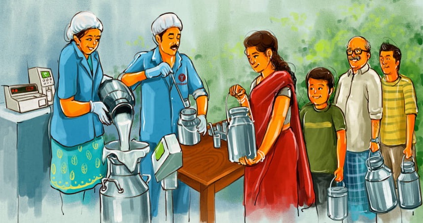 milma milk price hike dairynews7x7