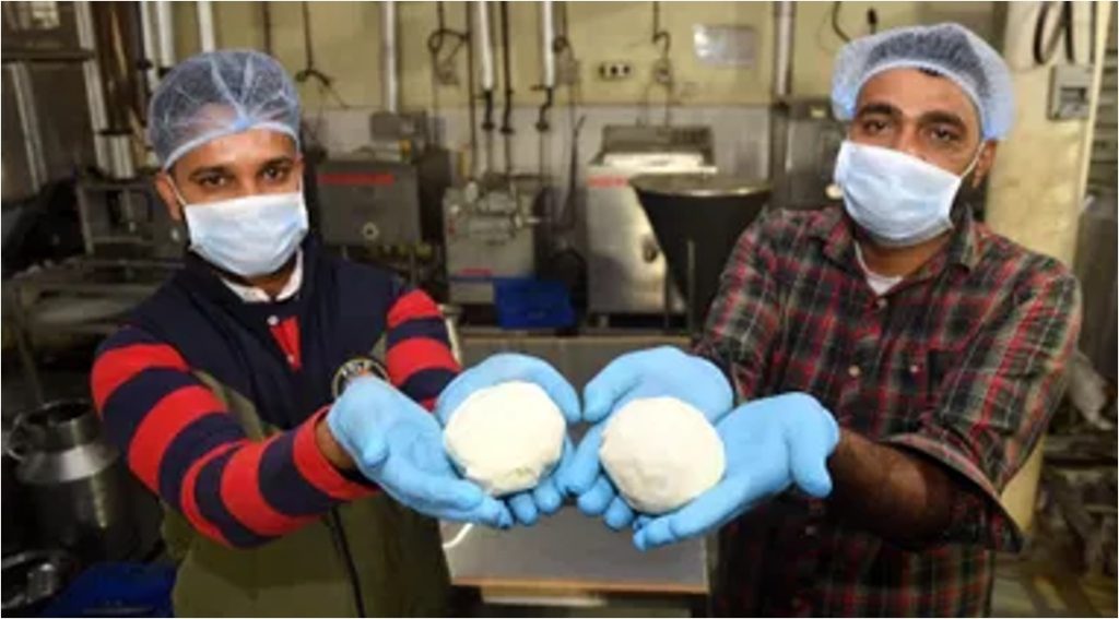 punjab goat cheese dairynews7x7