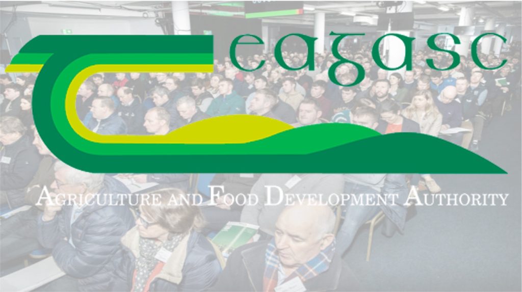 teagasc dairy conference 2025 dairynews7x7