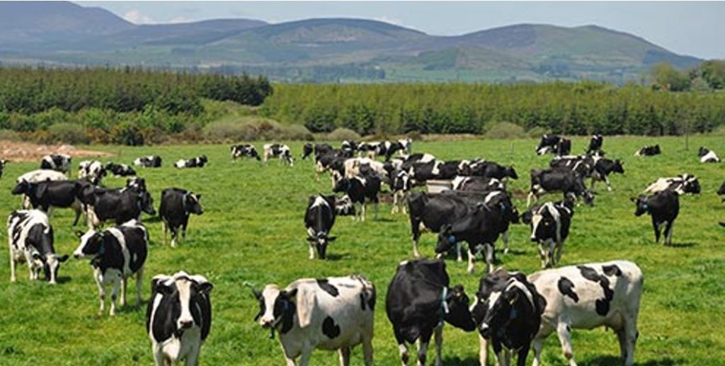 J&K dairy development dairynews7x7