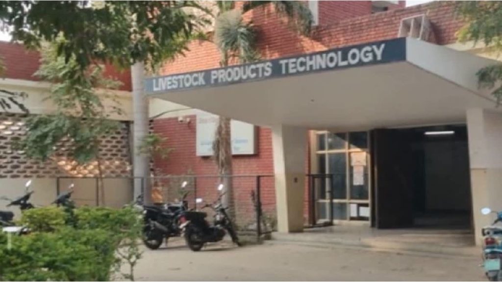 LUVAS created high protein dairynews7x7