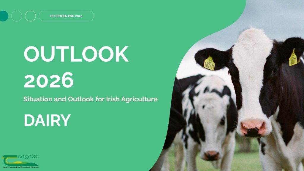 dairy outlook 2026 teagasc dairynews7x7