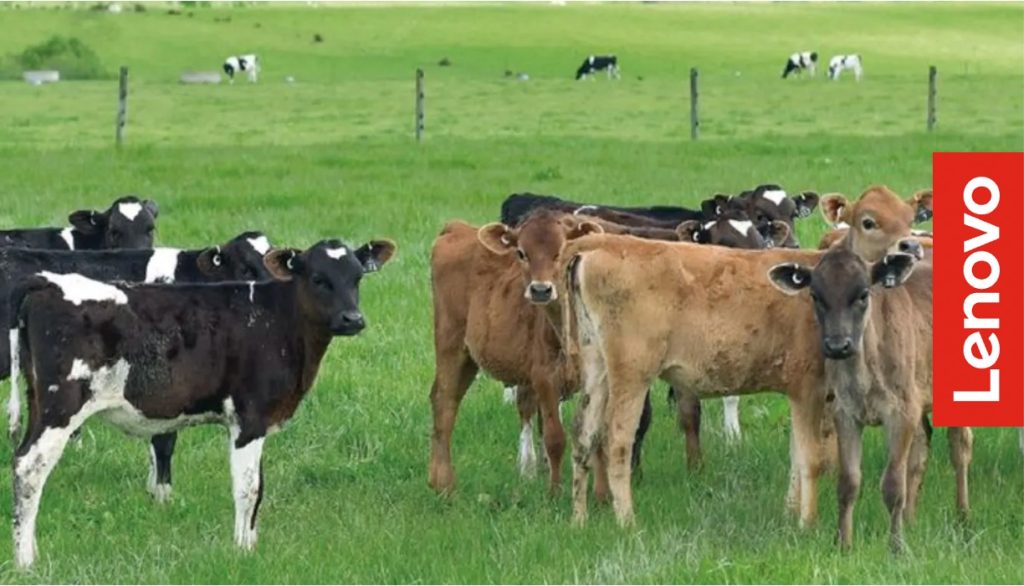 lenovo supports Yili group dairynews7x7