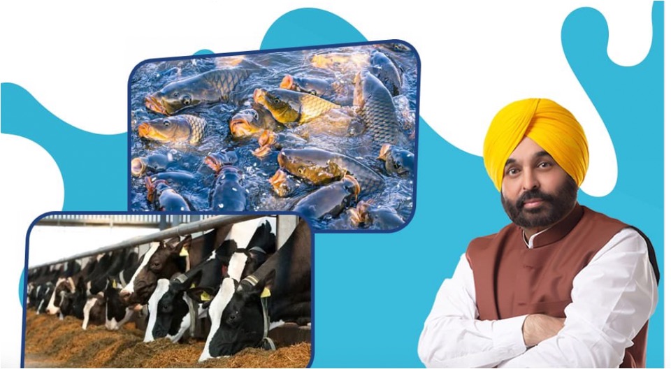 punjab govt slashes coop registration dairynews7x7