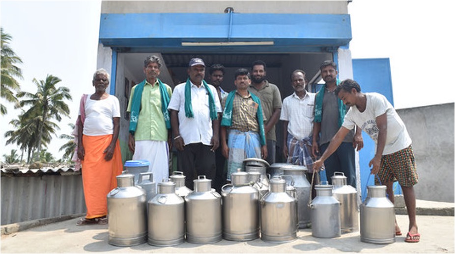 Aavin farmers await incentives dairynews7x7