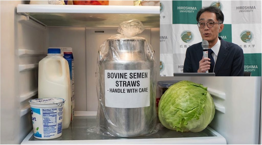 bull semen in home refrigerator dairynews7x7