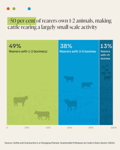 ceew study graphics 1 dairynews7x7