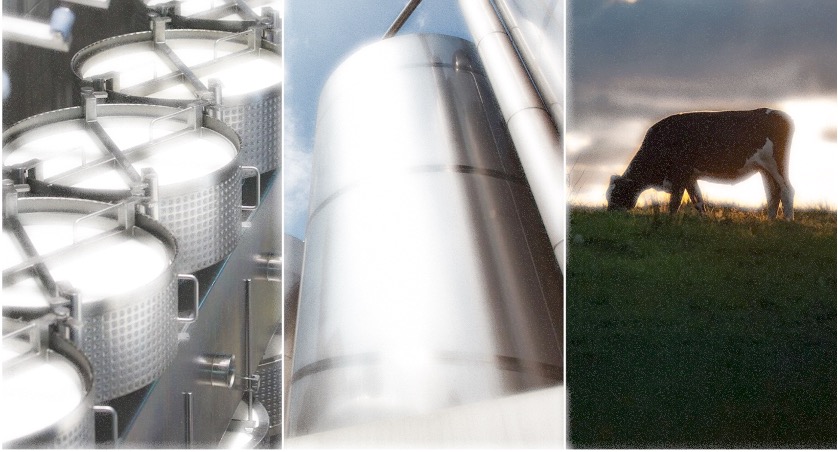 dairy prices under pressure rabo q4 dairynews7x7