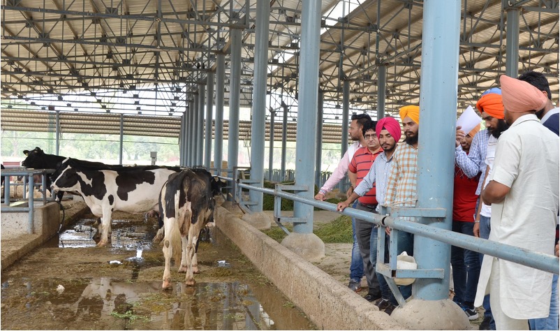 gadvasu msme fund dairy entrepreneurship dairynews7x7