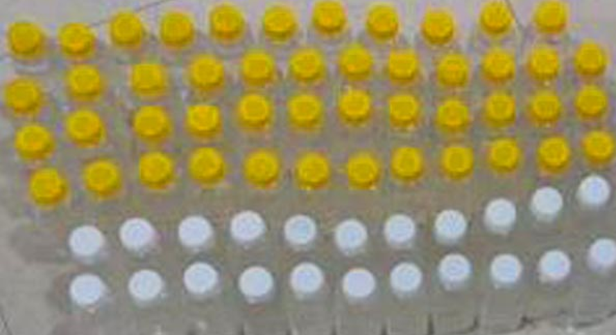 illegal oxytocin telanagana dairy seized dairynews7x7