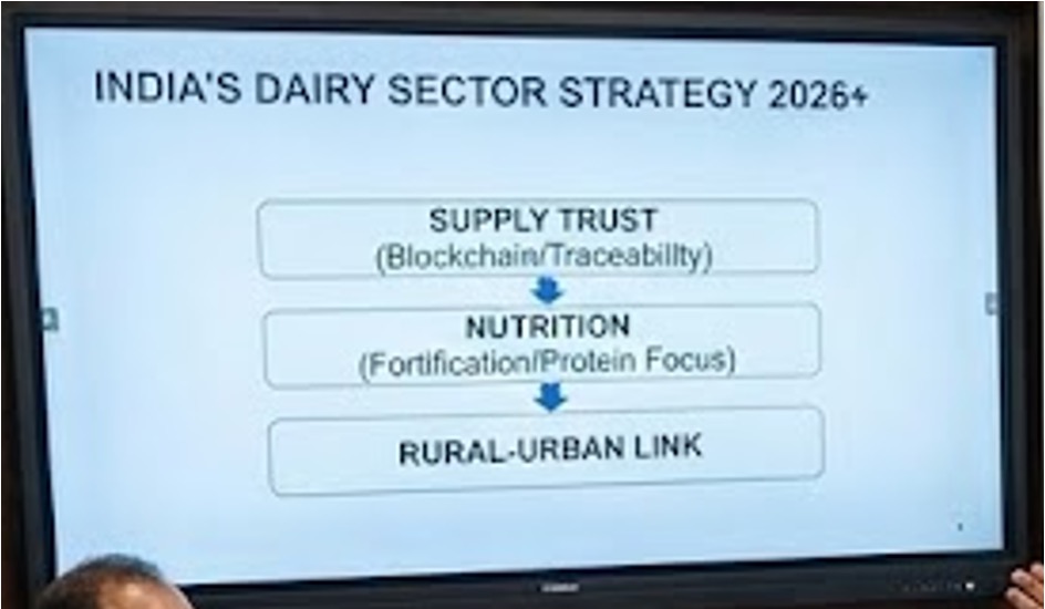 india dairy strategy dairynews7x7
