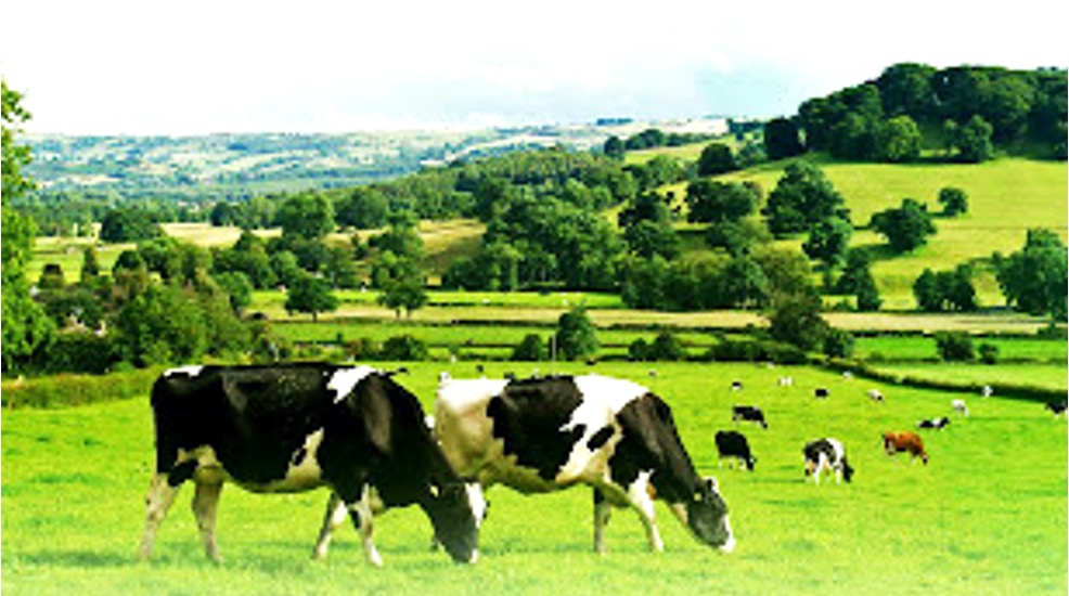 Kerala dairy entrepreneurs meet dairynews7x7