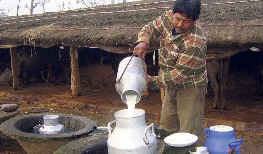 nepal sells milk in India dairynews7x7