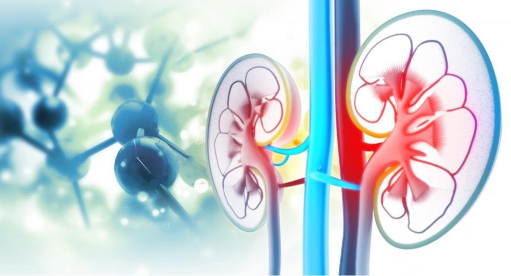 4 die adulterated milk suspected anuria dairynews7x7