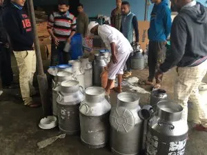 assam dairy and coop digital dairynews7x7