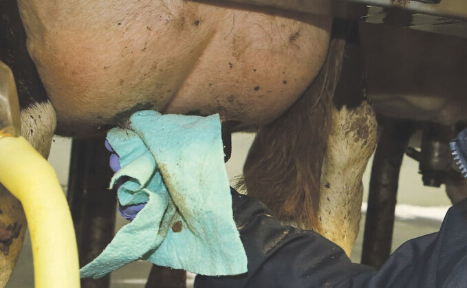 mastitis costs money dairy farms dairynews7x7