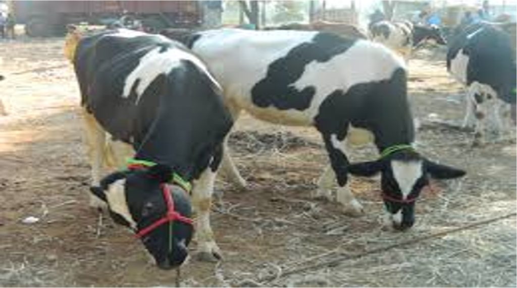 coimbatore Rs 1:L incentive dairynews7x7