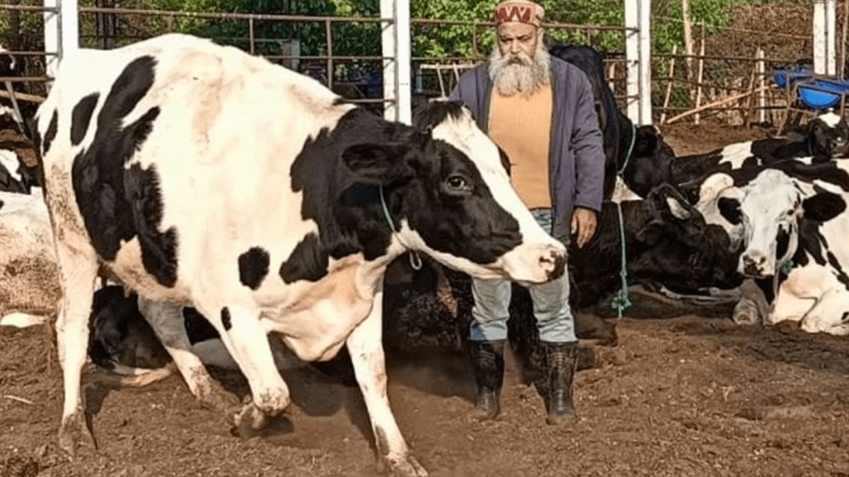 Dairy sector contributes 85% of methane emission in HP